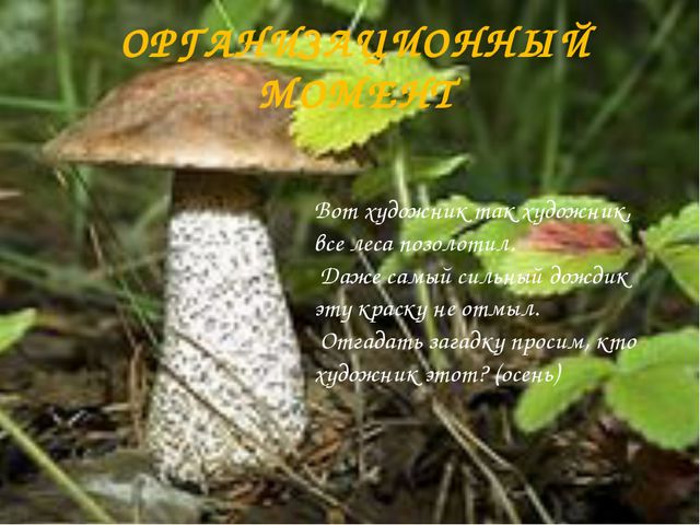 Презентация для детей. Грибное царство