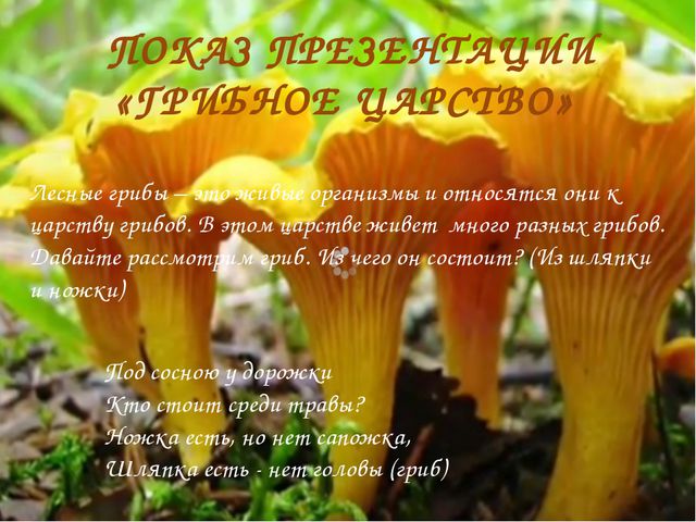 Презентация для детей. Грибное царство