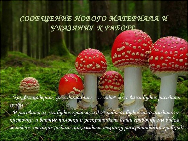 Презентация для детей. Грибное царство