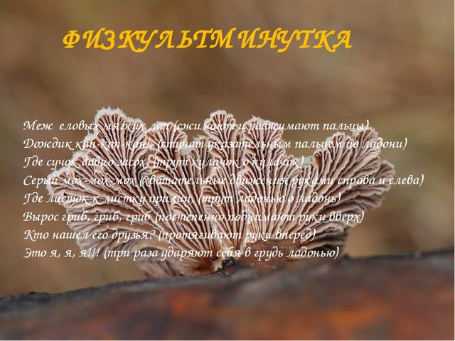 Презентация для детей. Грибное царство