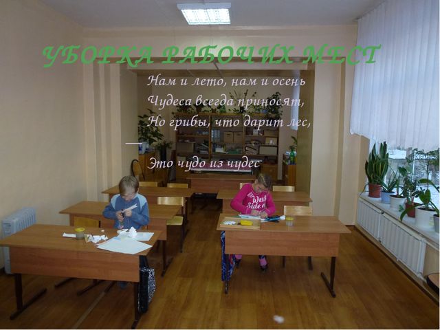 Презентация для детей. Грибное царство