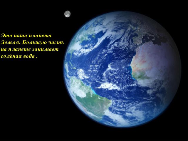 Презентация в средней группе. Морские обитатели