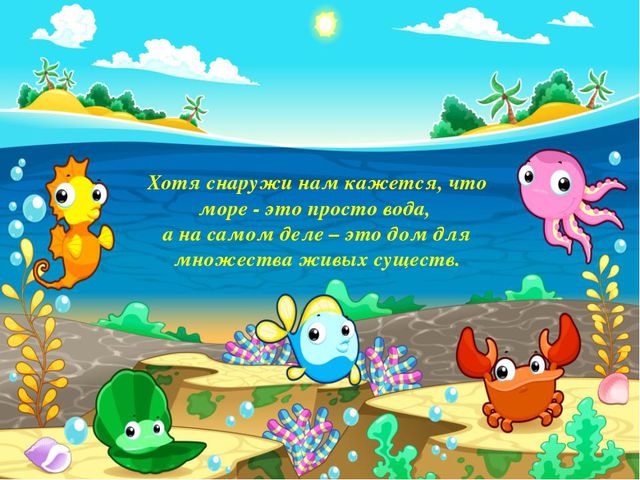 Презентация в средней группе. Морские обитатели