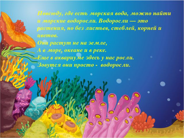 Презентация в средней группе. Морские обитатели