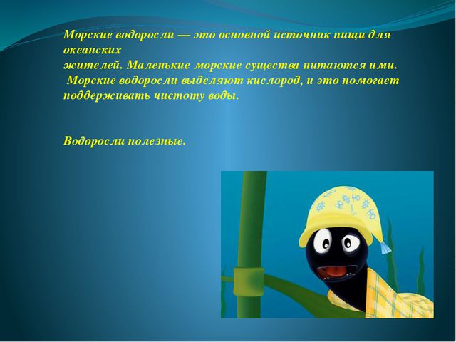 Презентация в средней группе. Морские обитатели