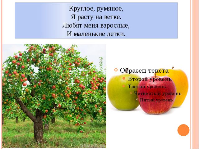 Фрукты. Презентация для детей