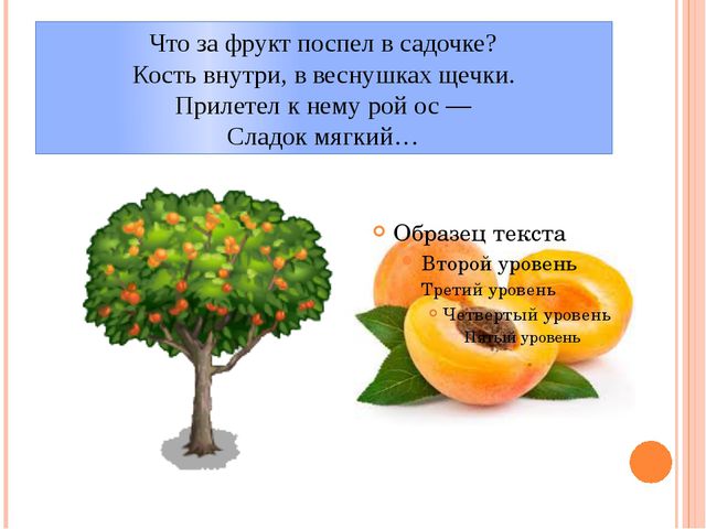 Фрукты. Презентация для детей