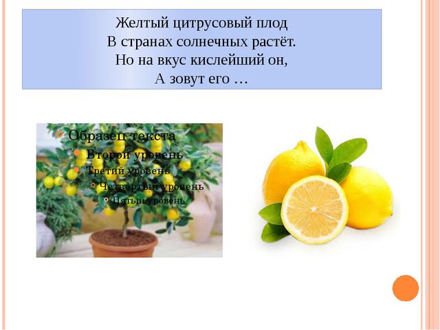 Фрукты. Презентация для детей