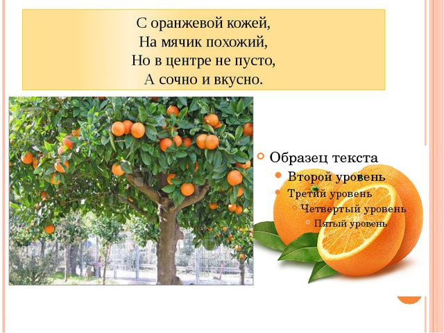 Фрукты. Презентация для детей