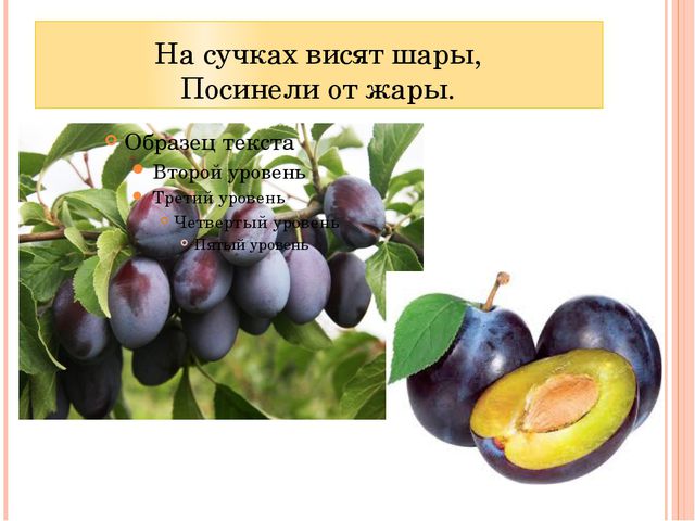 Фрукты. Презентация для детей