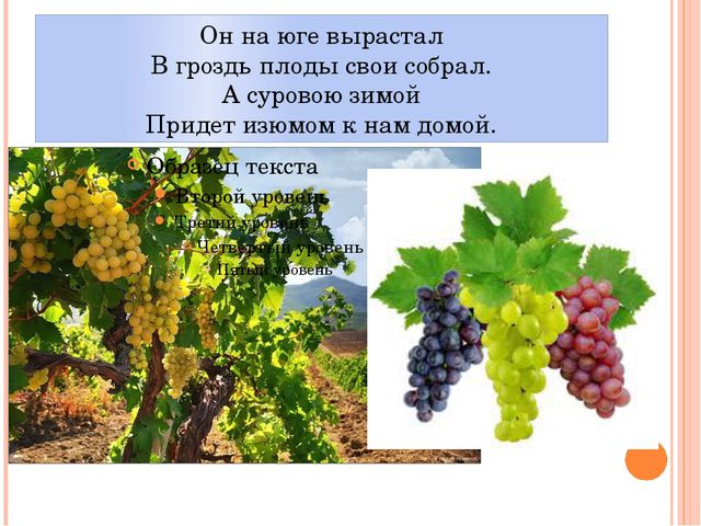 Фрукты. Презентация для детей