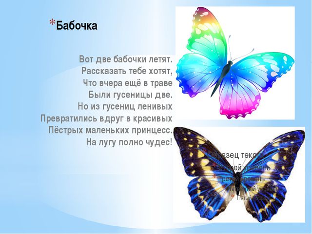 Стихи про насекомых