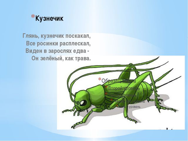 Стихи про насекомых