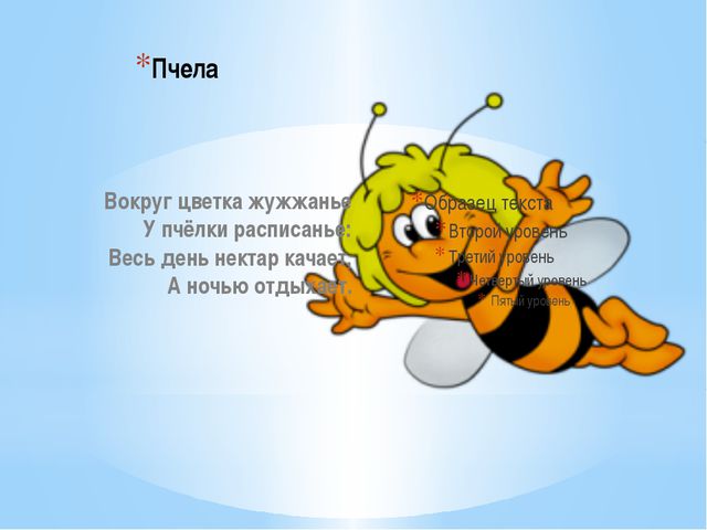 Стихи про насекомых