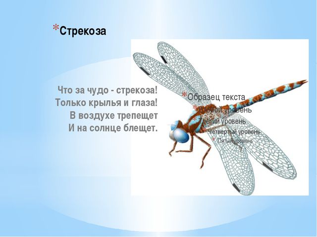 Стрекоза ответы. Стихотворение про стрекозу. Загадка про стрекозу. Детские стихи про стрекозу. Загадка про стрекозу для детей.