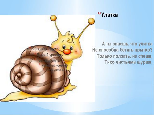 Стихи про насекомых