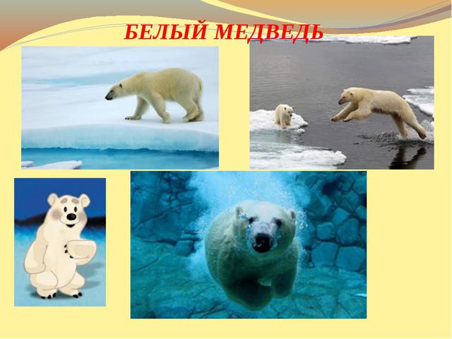 Презентация к открытому уроку. В гости к Умке