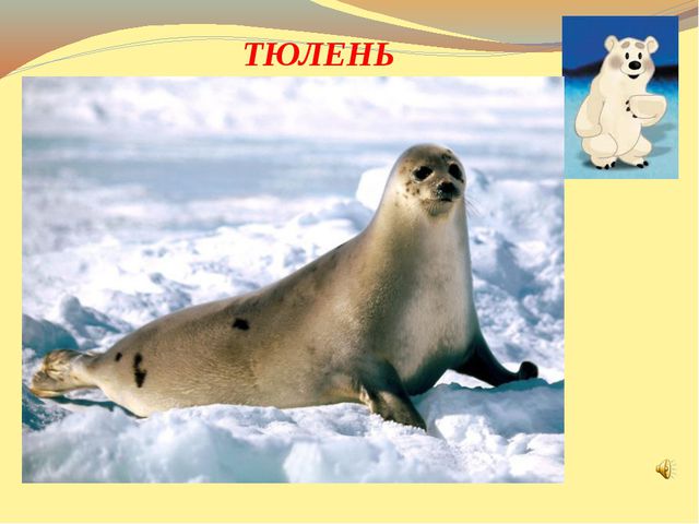 Презентация к открытому уроку. В гости к Умке