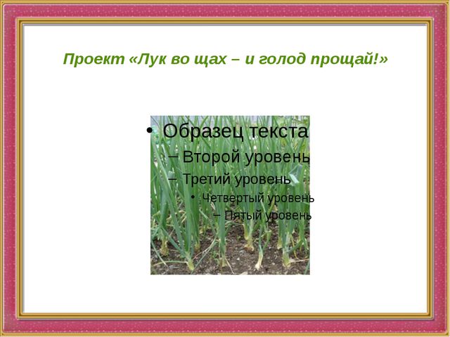 Презентация к проекту. Лук