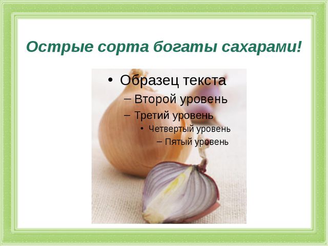 Презентация к проекту. Лук