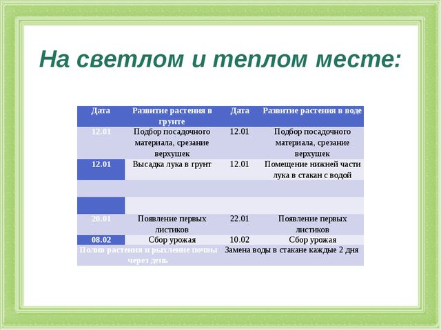 Презентация к проекту. Лук