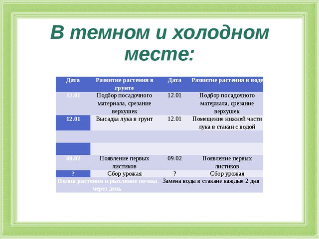 Презентация к проекту. Лук