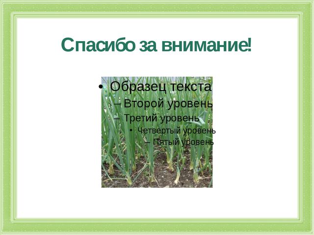 Презентация к проекту. Лук