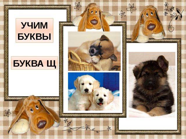 Звук и буква Щ. Презентация по обучению грамоте