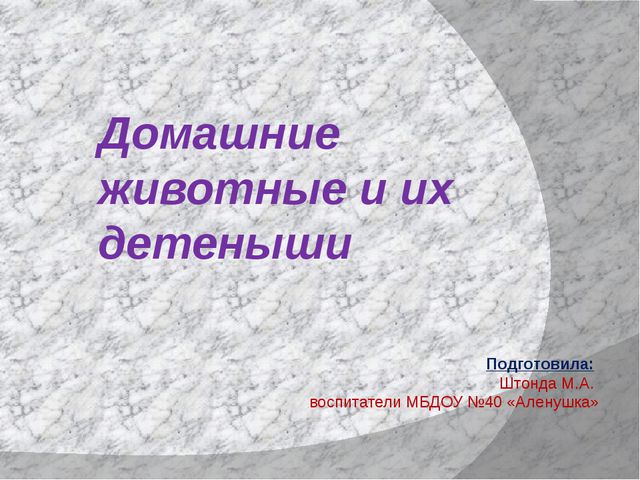 Домашние животные. Презентация для детей дошкольного возраста