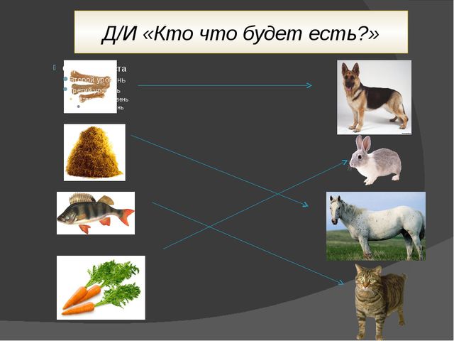 Домашние животные. Презентация для детей дошкольного возраста