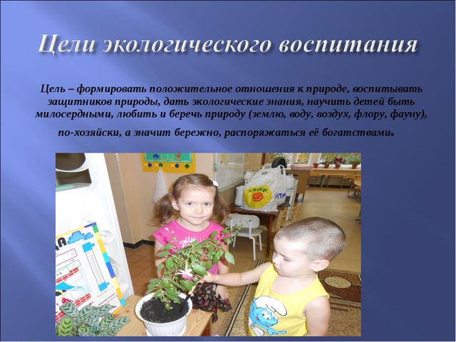 Экологическое воспитание детей дошкольников