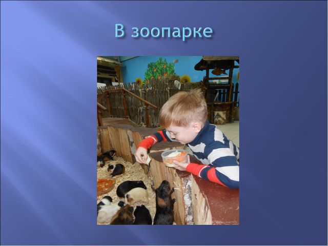 Экологическое воспитание детей дошкольников