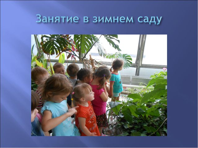Экологическое воспитание детей дошкольников