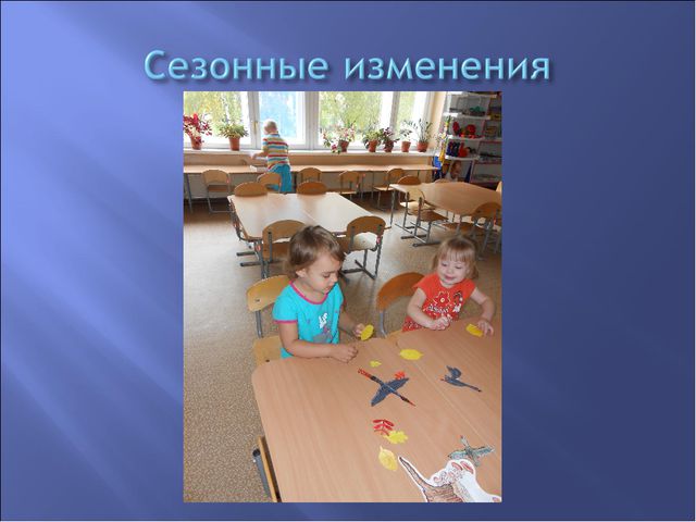 Экологическое воспитание детей дошкольников