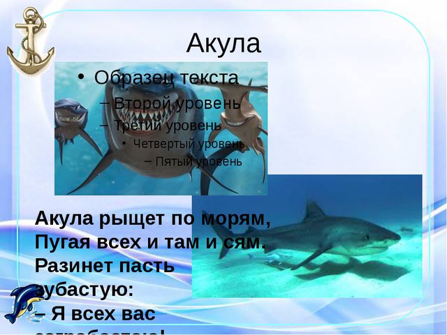 Морские обитатели. Презентация по окружающему