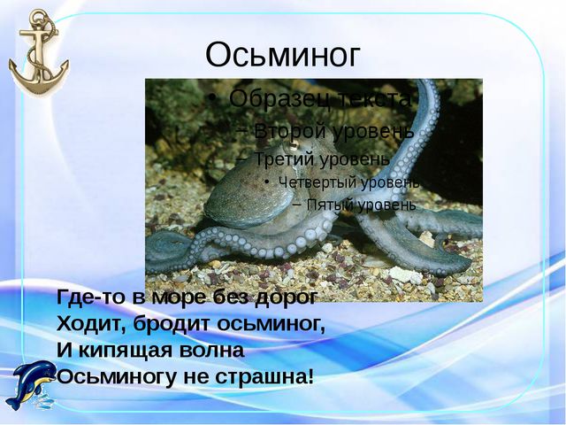 Морские обитатели. Презентация по окружающему