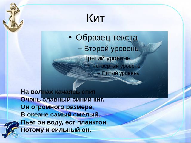 Морские обитатели. Презентация по окружающему
