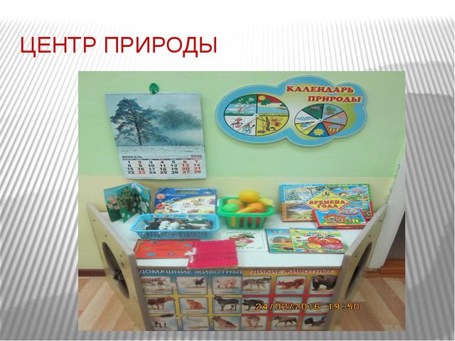 Организация развивающей предметно-пространственной среды с учётом ФГОС в первой младшей группе