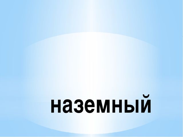 Транспорт. Виды транспорта для детей 2 младшей группы