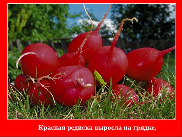 Презентация по обучению детей цвету