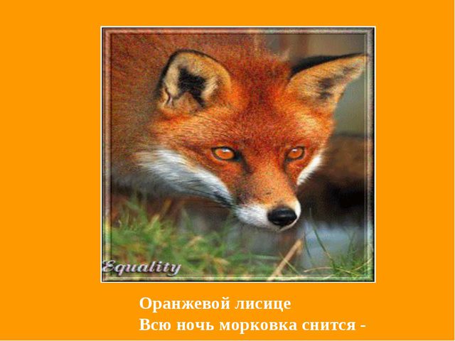 Презентация по обучению детей цвету