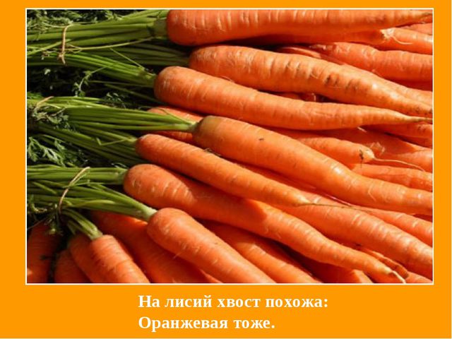 Презентация по обучению детей цвету