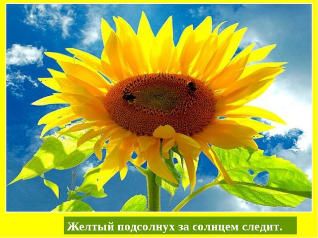 Презентация по обучению детей цвету