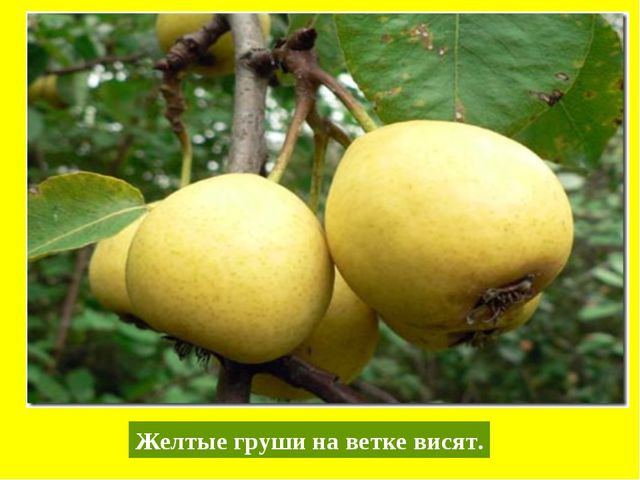 Презентация по обучению детей цвету