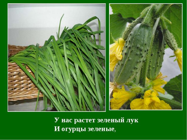 Презентация по обучению детей цвету