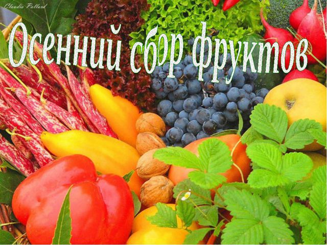 Сбор урожая и фруктов. Презентация для дошкольников