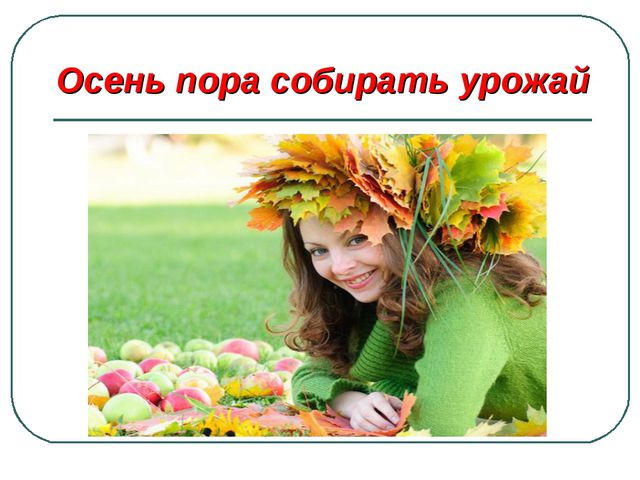 Сбор урожая и фруктов. Презентация для дошкольников