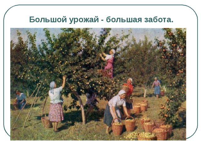 Сбор урожая и фруктов. Презентация для дошкольников