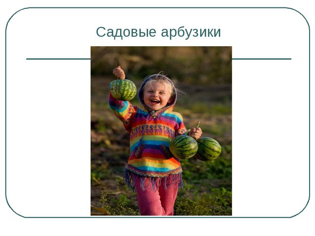 Сбор урожая и фруктов. Презентация для дошкольников