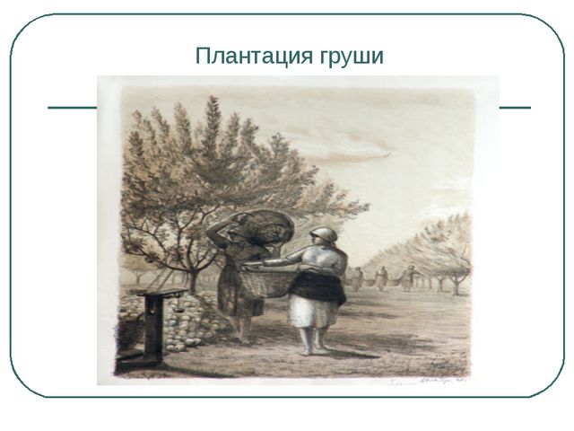 Сбор урожая и фруктов. Презентация для дошкольников